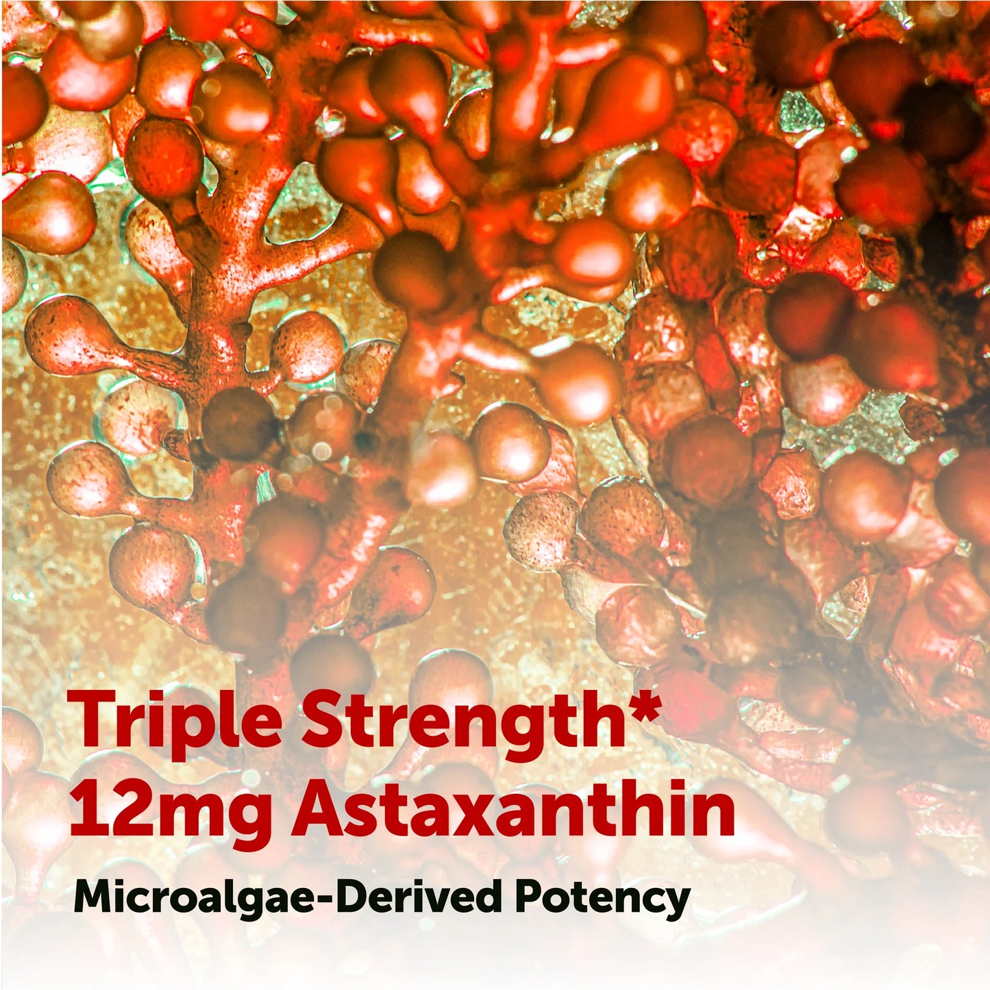 Nutrazen Astaxanthin